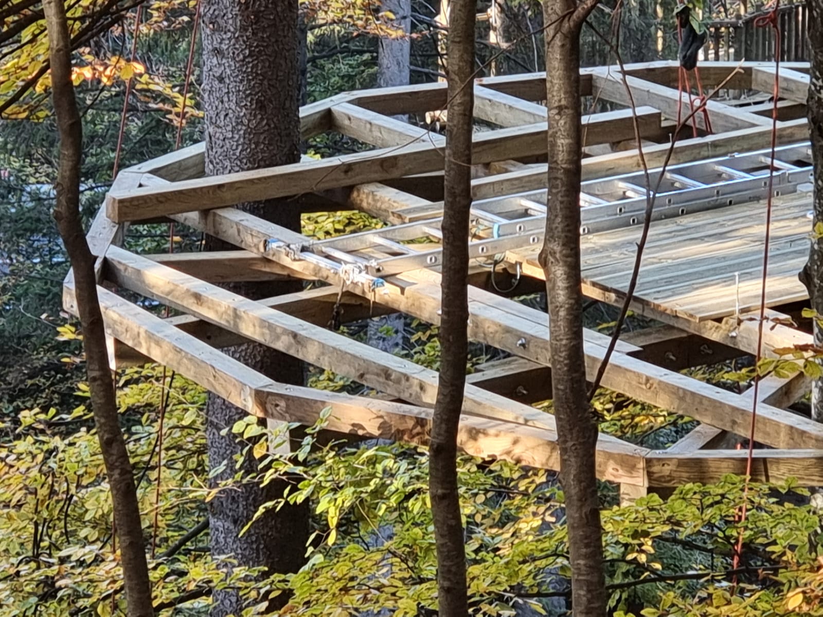 Structure d'une cabane en construction dans les arbres