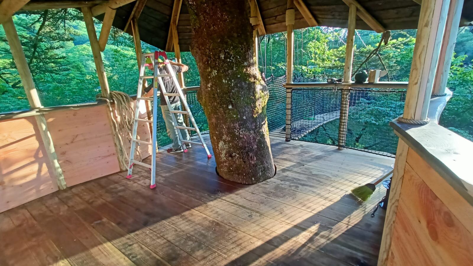 Intérieur en bois d'une cabane perchée autour d'un arbre
