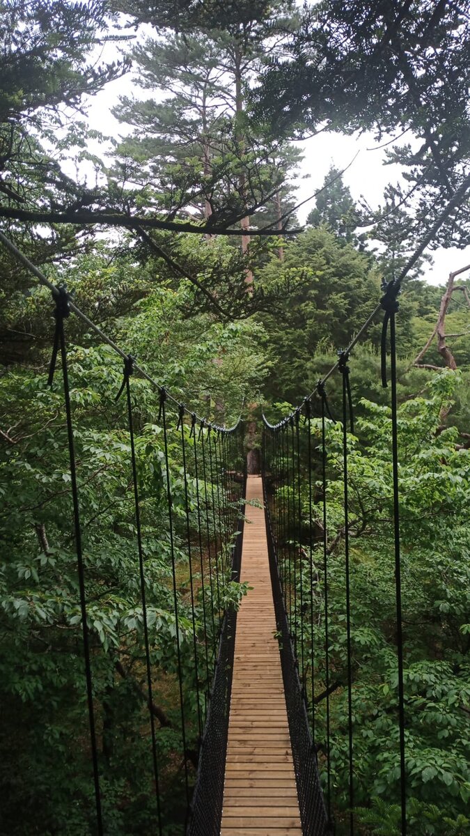 Passerelle suspendue en bois menant à une cabane perchée