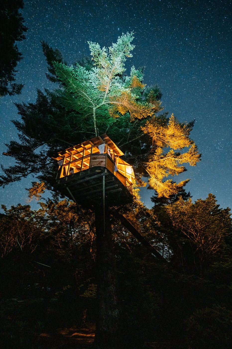 Cabane perchée illuminée de nuit sous un ciel étoilé