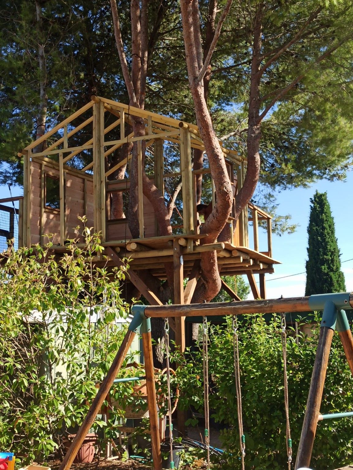 Structure en bois d’une cabane perchée en construction autour d’un pin