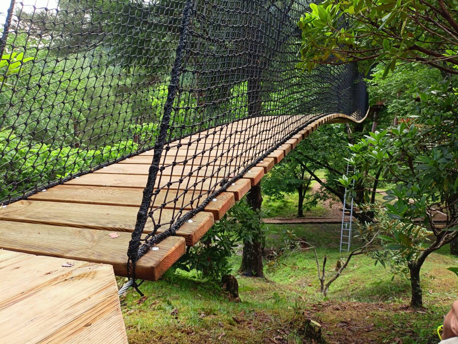 La passerelle suspendue