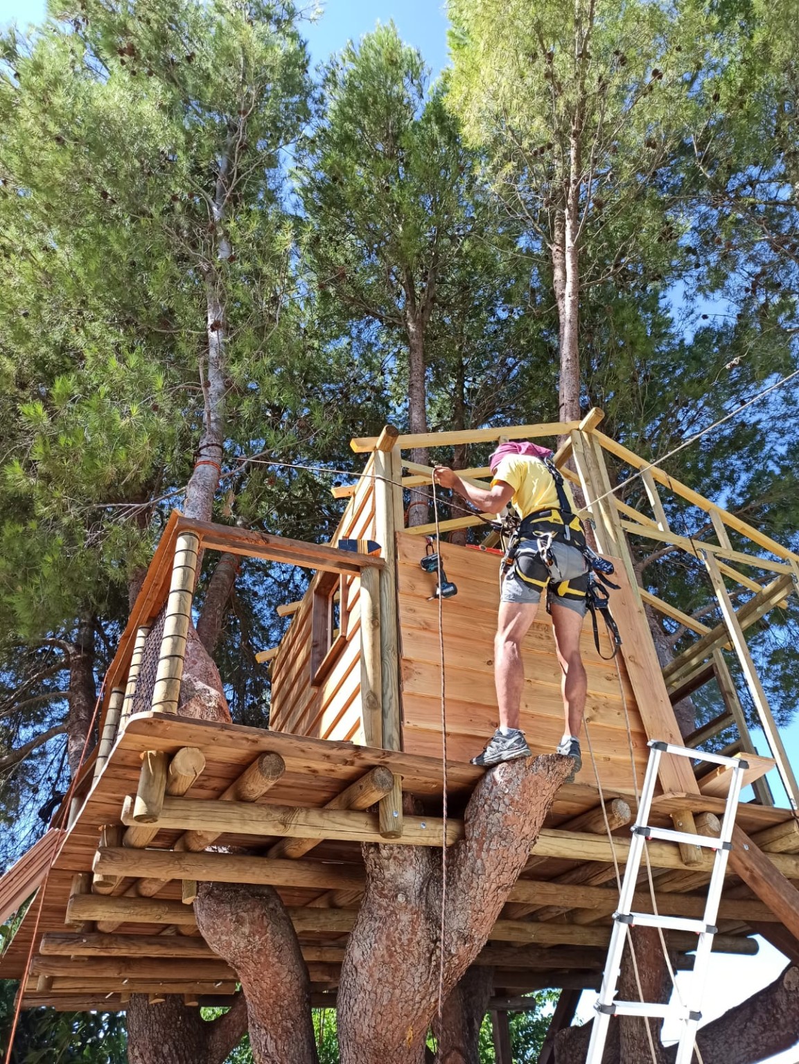 La cabane familiale